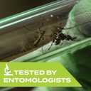 Stem Repels Mosquitoes: Mosquito Repellent Spray With Botanical Extracts; 4 fl oz (Pack Of 3)