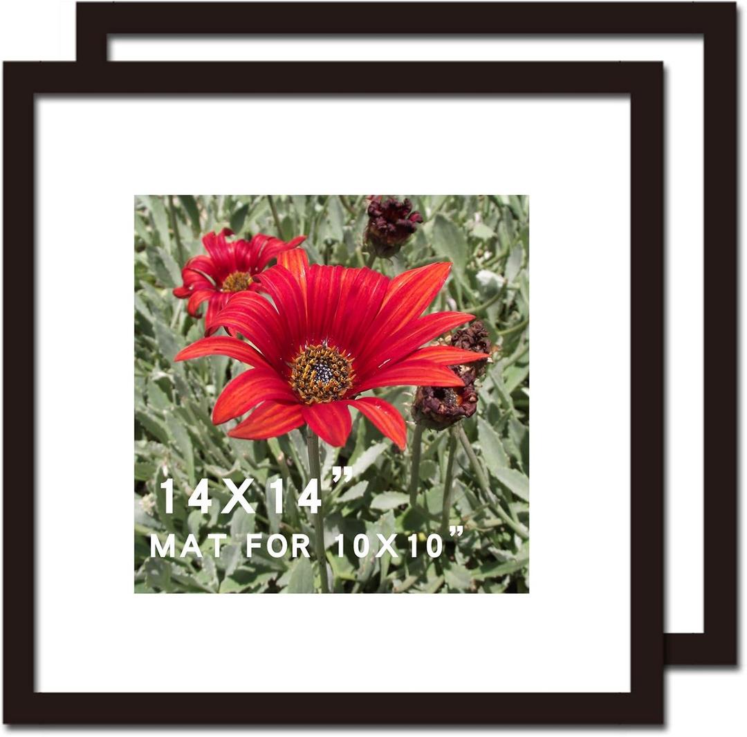 14x14 Picture Frame Black 2 Pack Solid Wood for Mat 10x10 Wall Mounting Square Poster Photo Frames