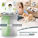 2 Pack H13 KILO Pet Replacement Filter for Afloia KILO, KILOPLUS, KILOPRO, MIRO, MIRO PRO and MORENTO MR-Kilo, 360 4-Stage Filtration, True HEPA Kalo Air Purifier, Green