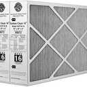 Lennox Carbon Coated X6672 Healthy Climate MERV 16 Filter (2 Pack) 