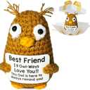 2 x CREEK CLOUD Positive Crochet Animal Gift, Owl Emotional Support Crochet Cute Ornament with Positive Card, Birthday Ester Gift for Women Men Coworkers Friend, Funny Desk Decor for Office Home