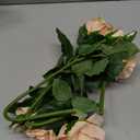 ATFL Fake Silk Real Touch Champagne Colored Roses Flowers,4 Pcs Artificial Roses with Stems for Wedding Arrangement Centerpieces Party Home Table Decorations