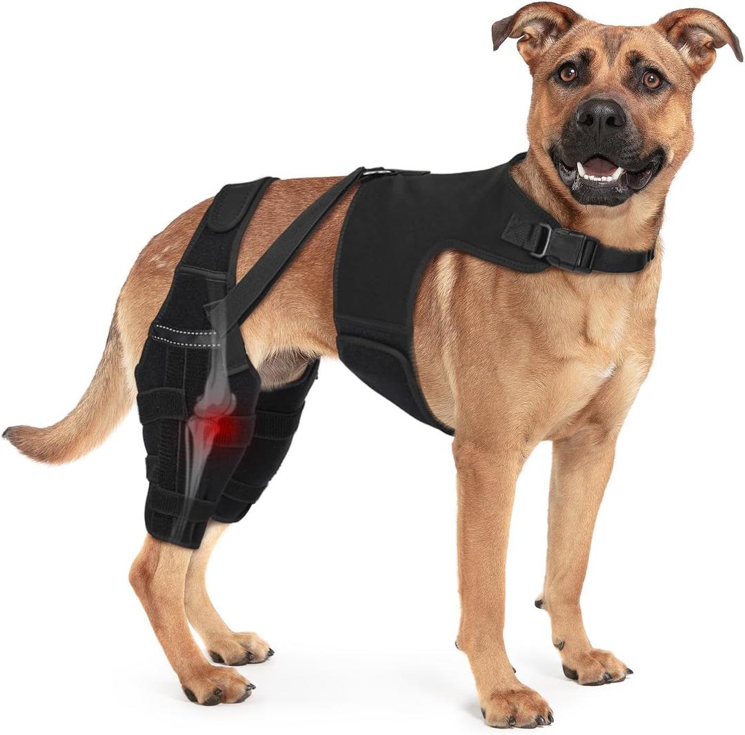 Dog Knee Brace Double Leg Support with Vest - Orthopedic Joint Stabilizer for ACL Tear, Arthritis, Patella Recovery - Adjustable Non-Slip Recovery Brace for Small Middle Large Dogs (Black,XL)