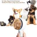 Pet Spray Brush for Cats & Dogs, 3-in-1 Grooming Tool with Cool Mist, 2-Speed Spray Settings, Removes Dander & Deshedding, One-Touch Self-Cleaning Hair Brush, for Long Short Hair Pets