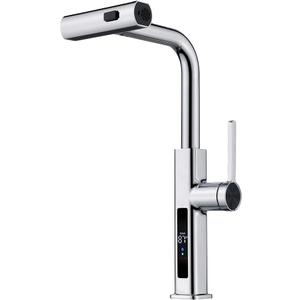 Lefton Pull-Out Waterfall Kitchen Faucet with Temperature Display, Two Water Outlet Modes, Single Hole, Chrome, KF2209-1