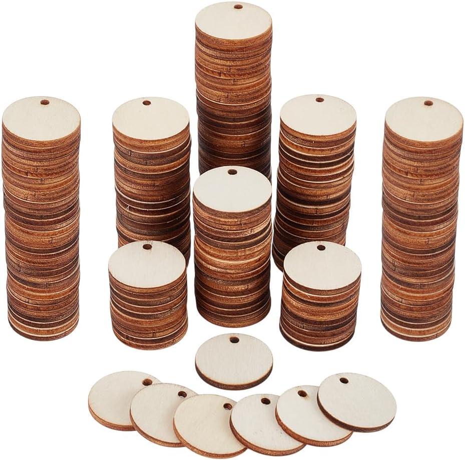 PH PandaHall 500pcs 1 inch Wooden Tags Unfinished Blank Wood Circles with Hole Small Wood Discs Round Disc Wooden Pieces for Earring Necklace Jewelry DIY Craft Making Ornaments Hanging Decorations