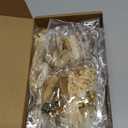 Layhit 12 Pack Boho Dried Flower Bouquet Mini Wedding Handmade Dry Flowers Decor for Vase Crafts DIY Photo Boutonniere for Men Floral Plant for Bridesmaid Gift Birthday Decor(Rustic)