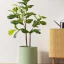 LE TAUCI 12 Inch Pot for Plants, Ceramic Planters for Indoor Plants, Mid-Century Modern Cylinder Flower Pots with Drainage Hole, Fits Fiddle Leaf Fig & Monstera, Home Decor, Sage Green