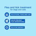 ADAMS Plus Flea & Tick Shampoo with Precor for Dogs, Cats, Puppies & Kittens, Flea Shampoo to Treat Flea Infestations, Kills Ticks, Fleas, Flea Eggs & Lice, Cleans and Conditions Coat, 24 Ounces