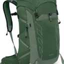 Osprey Talon 33L Men's Lightweight Hiking Backpack - Daypack for Travel & Camping, Green Canopy/Pine Leaf