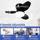 Small Ceiling Fan with Lights, 25" Flush Mount with Remote Control, Reversible Quiet DC Motor, Black, 3 Blades, 6 Speeds, Dimmable LED, Adjustable Color Temperature, Timer