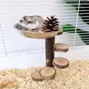 Hamster Food Bowl with Climbing Toys Ladder Stairs, Rat Toys for Pet Rats, Hamster Accessories for Cage, Pet Feeder Food Dish