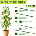 6 Pack 48 Inch Tomato Cages for Garden, Triangle Metal Plant Support with Rust-Resistant Coating, Heavy Duty Tomato Trellis for Raised Bed, Pots, Cucumbers, Peppers & Climbing Plants