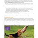 Ultimate Guide to Dog Training: Puppy Training to Advanced Techniques plus 25 Problem Behaviors Solved! (CompanionHouse Books) Manners, Housetraining, Tricks, and More, with Positive Reinforcement