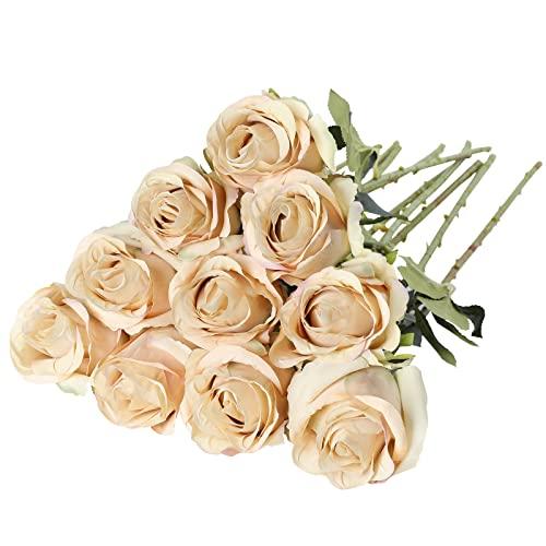 Nubry Artificial Silk Rose Flower Single Stem Lifelike Vintage Fake Rose for Wedding Bouquet Floral Arrangements Home Party Centerpiece Decoration, 10pcs (Vintage Champagne)