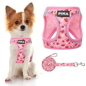 PINA No Pull Dog Harness - Breathable Mesh, Lightweight & Adjustable for Small & Medium Dogs - Easy On/ Off