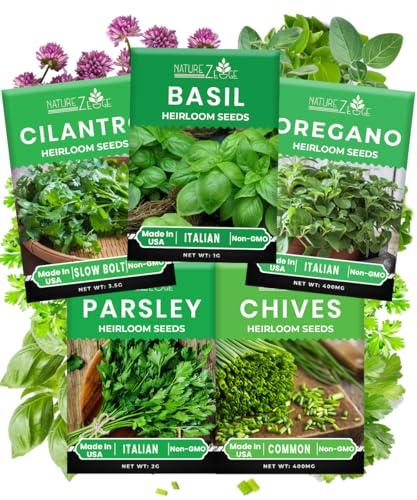 5 Herb Seeds Variety Kit, Oregano, Cilantro, Parsley, Basil, Chives