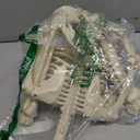 36" Skeleton Halloween Decorations, 3FT Realistic Full Body Movable Posable Joints Skeleton, Creepy Halloween Plastic Skeleton for Graveyard Decorations, Haunted House Props Indoor/Outdoor Decor