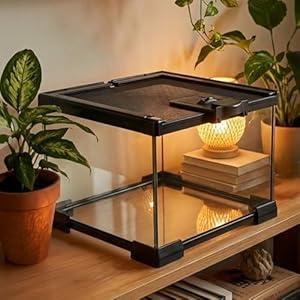 Veectgoo Small Glass Reptile Enclosure, 8x8x6 Tarantula Enclosure with Lockable Sliding Screen Top - Full View Insects Breeding Box Small Amphibians Cage for Leopard Gecko, Frog, Hermit Crab, Isopods