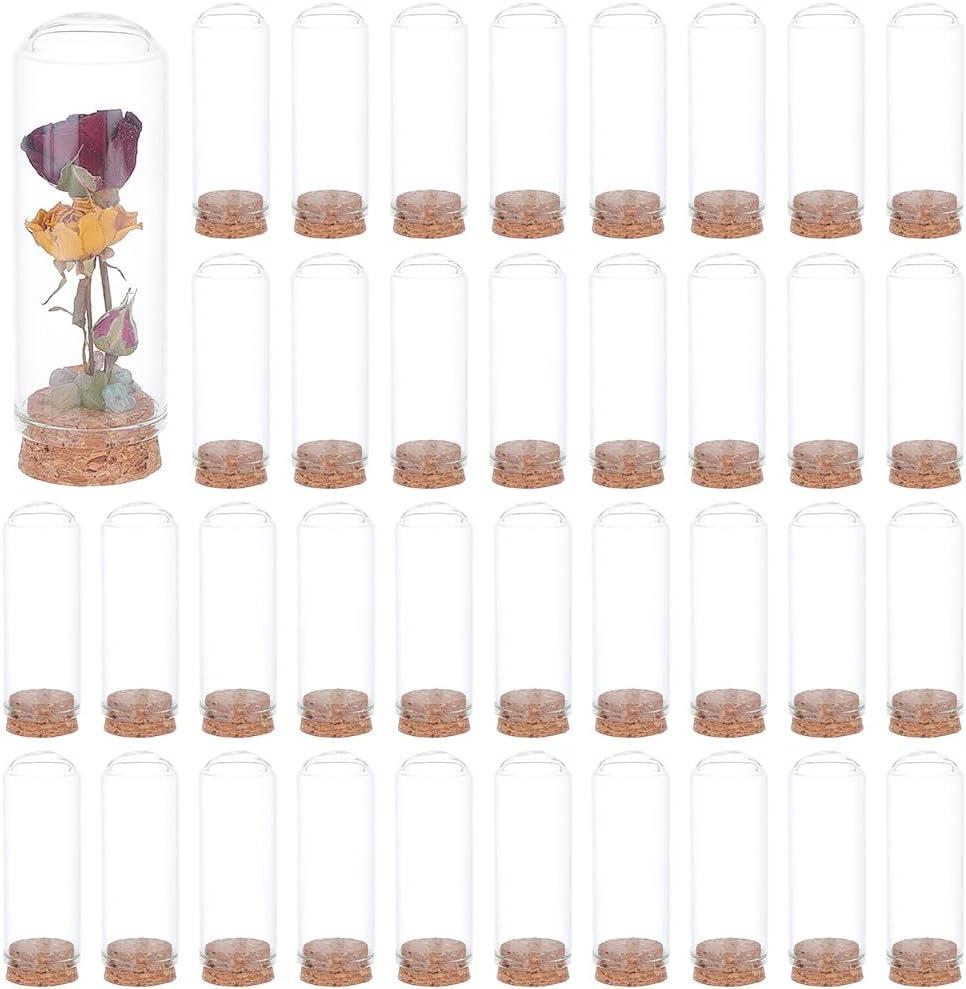 BENECREAT 48 Sets Dome Decorative Display Case, 3.1x1.1inch Dome Decorative Jars, Display Dome Cloche for Flower Storage, Specimens, Crafts Decorations
