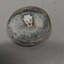 Lingo Continuous Glucose Monitor (CGM). Made by Abbott. Optimize Your Nutrition with Real-time Glucose Data & Insights. 1 Lingo biosensor lasts up to 14 Days*. Works with iOS and Android. US Only.