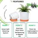 GreenShip Planter Set of 2 (13.8" & 11.8") – Cylinder Planters with Drainage Hole and Planter Saucer, Jun Porcelain Clay & Recycled Resin, Decorate Home,Office & Outdoor,White pots, 13.7in+11.8in