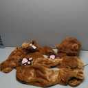 Morph Deluxe Lion Costume Kids, Lion Mane Costume Halloween Costumes For Boys, Girls and Toddlers, Kid Halloween Costumes (12-14 Years, XL)