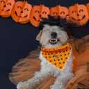 Elegant Little Tail Dog Bandana, Fall Halloween Adjustable Scarf Handkerchief Bib for Small Large Dogs, Boy Girl Square Kerchief (Small (Pack of 1), Cat)