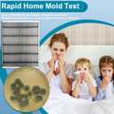 Mold Test Kit for Home- DIY Mold Detector for Home, 3 at Home Mold Air Test Kits - Test HVAC、 Home Surfaces、Indoor Air Quality, Easy Black Mold Testing Kit Includes Detailed Mold Identification Guide