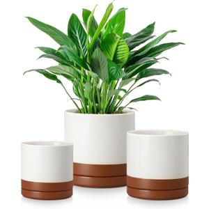 vancasso Ceramic Plant Pots, 3 Piece Planters for Indoor Plants, 4.25+5.25+6.25 Inch Flower Pots with Drainage, Plant Pots Indoor for Succulent, Pothos, Snake Plant and Money Tree, Etc (Khaki)