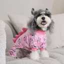 CuteBone Dinosaur Costume Dog Pajamas, Stretchy Spandex Crystal Velvet Sleepwear Coat for Small Dogs, Soft & Warm Pet Outfit Clothes for Cold Weather, Cozy Pullover Design COSP09M, Medium