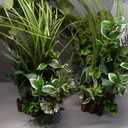 Ling's moment Free-Standing Wedding Aisle Runner Flowers, White Green, 4pcs
