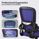 Office Chair - Ergonomic Desk Chair with Adjustable Lumbar Support, Mesh Computer Chair, Executive Chair for Home Office Comfortable Lumbar Support (Violet), Pack of 1