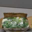 Dolicer 2Pcs 13Ft Artificial Eucalyptus Garlands with Flowers - 8 Roses, Faux Floral Greenery Garlands Fake Flowers Vines for Wedding Table Centerpieces Arch Party Ceremony Backdrop Decor (White)