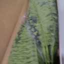 FOREST PRINCE 35" Ferns Artificial Bush Plants Large, 2 Artificial Boston Ferns with 39 Fronds for Outdoors Home Decor
