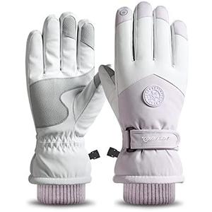 Winter Ski Snow Gloves for Men, Women, Youth | Touchscreen & Waterproof Cold Weather Hand Warming Gloves Winter Work Gloves (Purple_L)