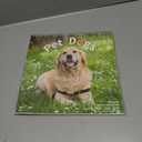 Ospelelf 2026-2027 Wall Calendar 12"X12", 18 Months Hanging Calender, Spiral Bound Dog Calendar for Easy Organizing, Use Jan 2026 - Dec 2027