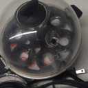 DASH Electric Rapid Egg Cooker for Hard Boiled/Poached/Scrambled Eggs or Omelets with Auto Shut-Off Feature, Black, 7 Egg Capacity