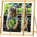 Fixwal Floating Picture Frame Set of 2, 5 x 7 Tempered Glass Frame for Tabletop Display, Gold Metal Display Frame, for Multi Size Photo Including 4 x 6,3 x 5