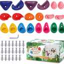 TOPNEW 20PCS Rock Climbing Holds for Kids, Climbing Rocks for Play Set, Swingset - Adult Rock Wall Holds with Mounting Hardware for Indoor Outdoor, Bright Color