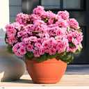 Waipfaru 12 Pcs Artificial Fake Flowers for Outdoors, Silk Geraniums Pink Flower, UV Resistant Outdoor Faux Plants for Garden Porch Planter Patio Balcony Yard Indoor Home Decoration(12, Pink)