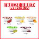 NORTHLANDZ Freeze Dried Candy | RAINBOW CRUNCH ORIGINAL | -42C Freeze-Dried | Assorted Sweet Fruit Flavors | 1.5oz/each| Light & Crunchy Snack | Unique Candy Experience (EXP 10/01/26)