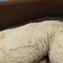 HollyHOME Giant Teddy Bear 5Ft Big Teddy Bear Stuffed Animal Birthday Valentines Day Plush for Kids and Girlfriend 60 inch Tan