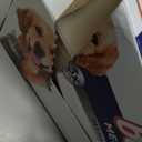 Bounce Pet Hair and Lint Guard Mega Dryer Sheets with 3X Pet Hair Fighters, Unscented, 130 Count