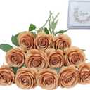 LVEFIT Artificial Rose Flower Artificial Flowers Flower with Long Stem Silk Roses Bouquet for Wedding Bridal Shower Party Home Decoration (Terracotta, 12 Pcs)