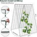 Amoskey Cucumber Trellis, Garden Trellis for Climbing Plants Outdoor, Foldable A-Frame Trellis, Cucumber Trellis for Raised Bed for Cucumbers, Peas, or Tomatoes (Green, Small Grid 48H*34''W)