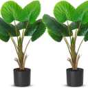 Giegxin 2 Pack Artificial Fan Palm Tree 2.36 ft Tall Fake Tree Round Leaf Fake Palm Plant with Planter, Faux Tropical Areca Floor Plant, Artificial Silk Plants for Indoor Outdoor Home Office Decor