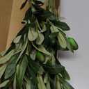 Waipfaru Faux Olive Branches for Vases, Olive Tree Branches with Lifelike Olives, Artificial Greenery Stems Decor for Centerpieces Floral Arrangements Vases (3Pcs, 18 Inch)