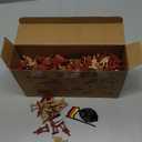 3 otters 300PCS Toy Soldiers Set, Army Men Figures Military Toys for Boys, Kids Toys Birthday Gift, 3 Colors