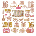 30Pcs 16th Birthday Photo Booth Props for Girls Women, Pink Rose Gold Vintage 2009 16 Birthday Selfie Props Kit with Sticks Party Supplies Favors, Sixteen Bday Photo Props Decor
